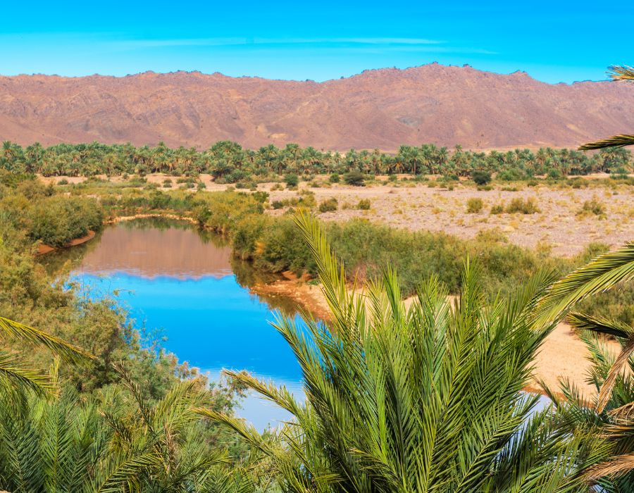 Valle del Draa con Viajamos en Marruecos