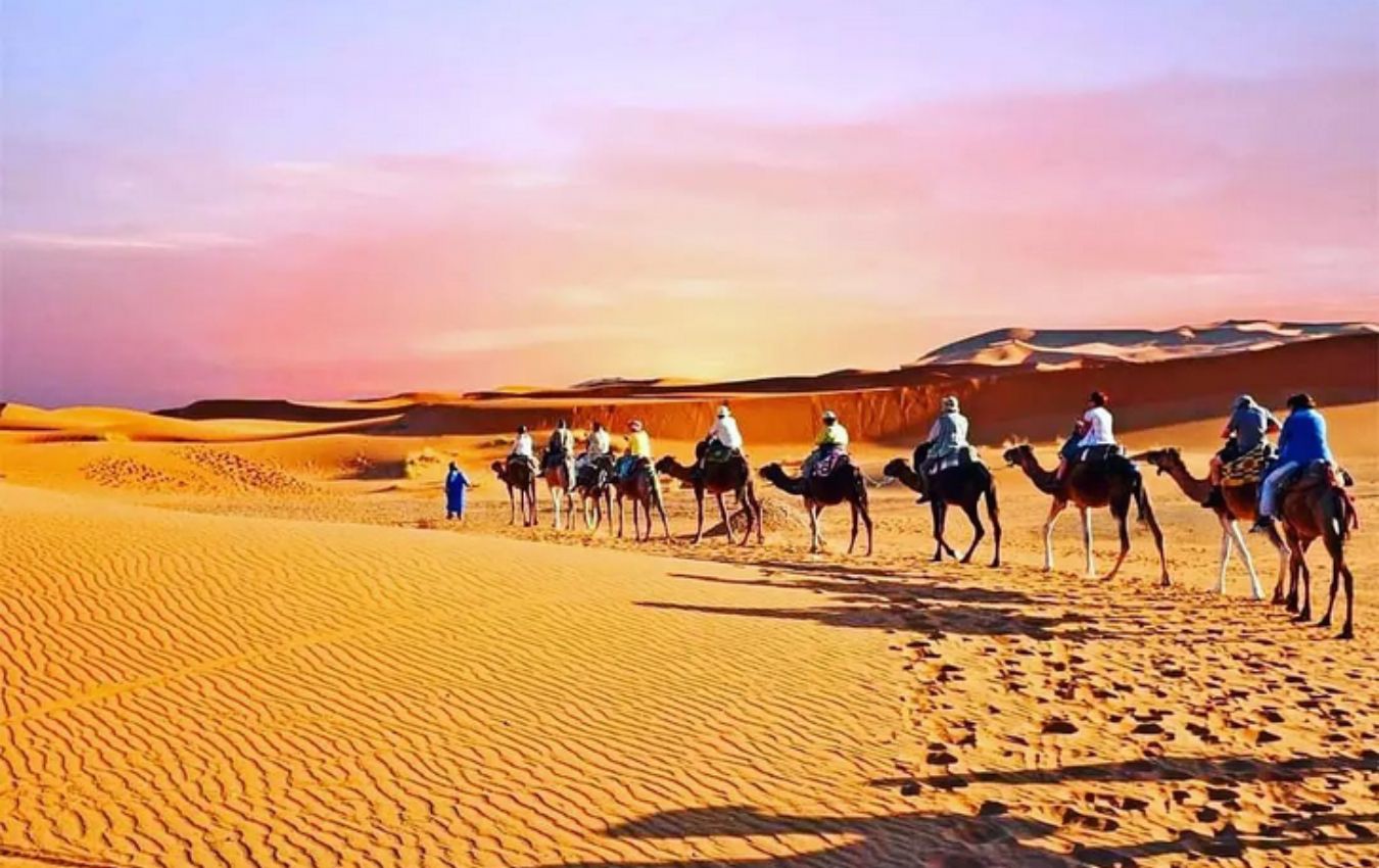 Camel Trekking en Marruecos