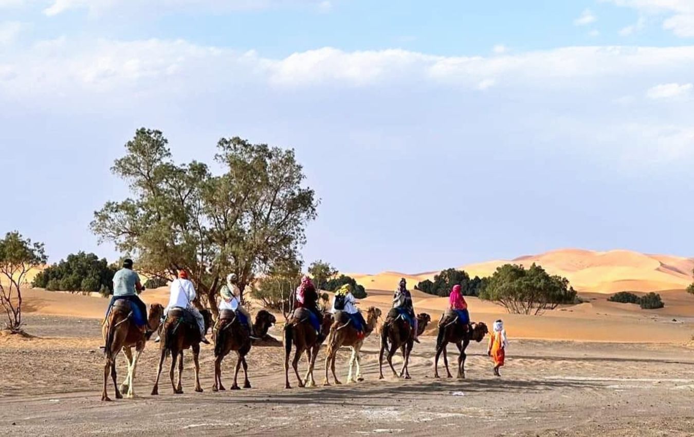 Camel Trekking en Marruecos